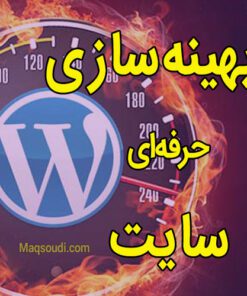بهینه سازی حرفه ای سایت وردپرس